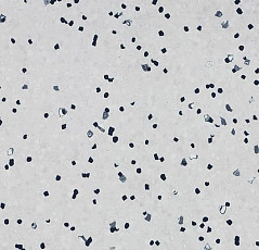 Линолеум Forbo Sphera Ec 450017 ivory фото 1 | FLOORDEALER